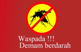 http://cdn-2.tstatic.net/kalteng/foto/bank/images/waspada_DBD_Nyamuk.jpg