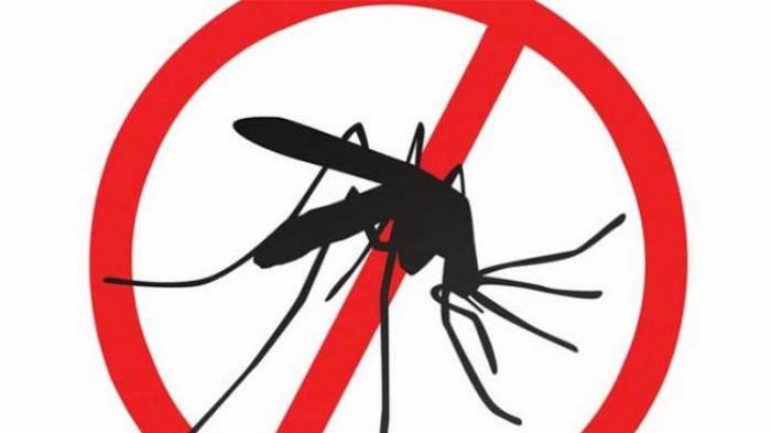 Dinas Kesehatan Kota Manado Antisipasi Virus Zika