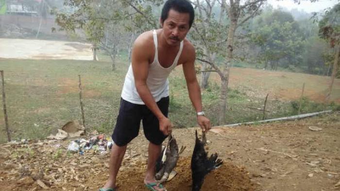 Unggas Mati Mendadak di OI Positif Terjangkit Virus ND