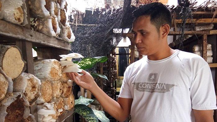 Jamur tiram krispi menu favorit di Cefe Mesenina di pusat kuliner Puja Sera, Singkil, Aceh Singkil, Senin (30/9/2019)