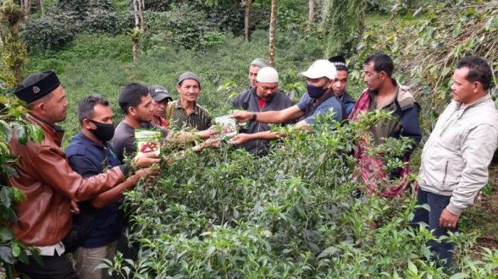 Ketua LSM Flofa Aceh Darwis Kuta menyerahkan pestisida jenis Foxxin kepada petani di Desa Suka Jadi, Kecamatan Wih Pesam, Bener Meriah untuk mencegah busuk daun dan busuk akar pada tanaman cabai.