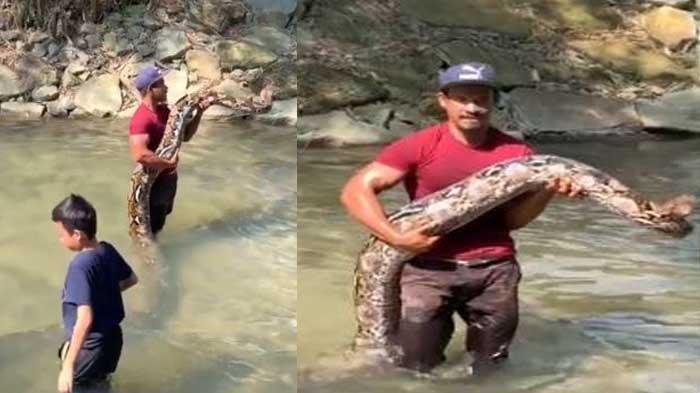 Ular piton disebut kencing dan terkena seorang bocah saat berendam di sungai diunggah oleh akun TikTok @mohicanz_exotic, Minggu (1/11/2020).
Artikel ini telah tayang di serambinews.com dengan judul VIRAL Ular Piton 'Cik Kiah' Disebut Kencing dan Terkena Seorang Bocah saat Berendam di Sungai, https://aceh.tribunnews.com/2020/11/02/viral-ular-piton-cik-kiah-disebut-kencing-dan-terkena-seorang-bocah-saat-berendam-di-sungai?page=all.
Penulis: Syamsul Azman
Editor: Hadi Al Sumaterani