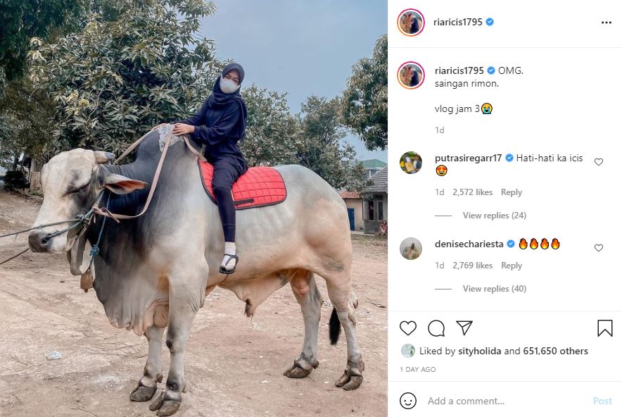 Ria Ricis berburu sapi qurban