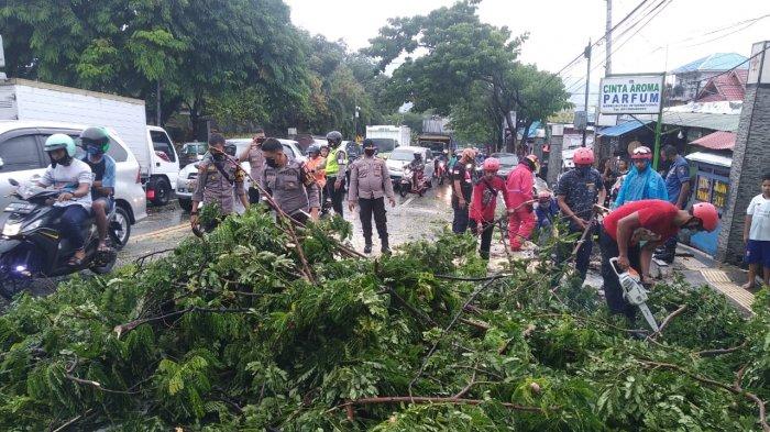 AMBON: Akibat pohon tumbang, kemacetan terjadi sepanjang tiga kilometer di Jalan Jenderal Sudirman, Batu Merah, Sirimau, Kota Ambon , Jumat (09/04/2021).