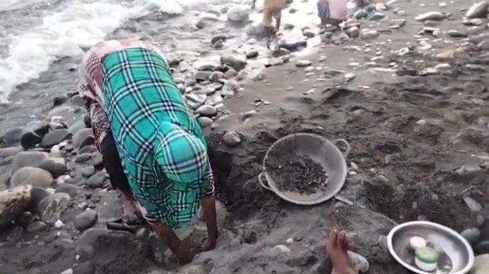 PAKAI PANCI - Ibu rumah tangga Kampung Tamilow, Kecamatan Amahai, Kabupaten Maluku Tengah, Maluku, mendulang emas dengan peralatan dapur seadanya seperti panci, Senin (22/3/2021). Pemkab Maluku tengah baru mengecek kadar emas di wilayah ini.