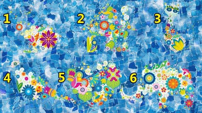 Lihat gambar berikut ini, gambar nomor berapa yang bisa kamu lihat dengan paling jelas?