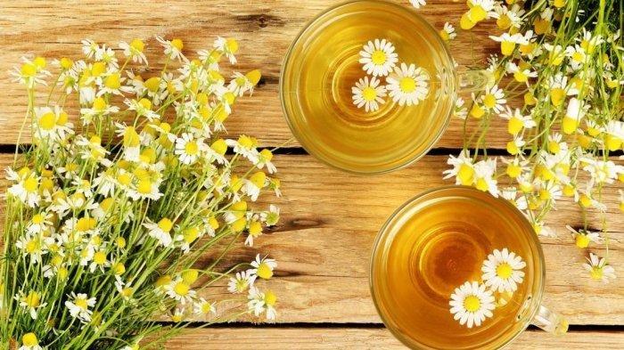 Ilustrasi Teh Chamomile