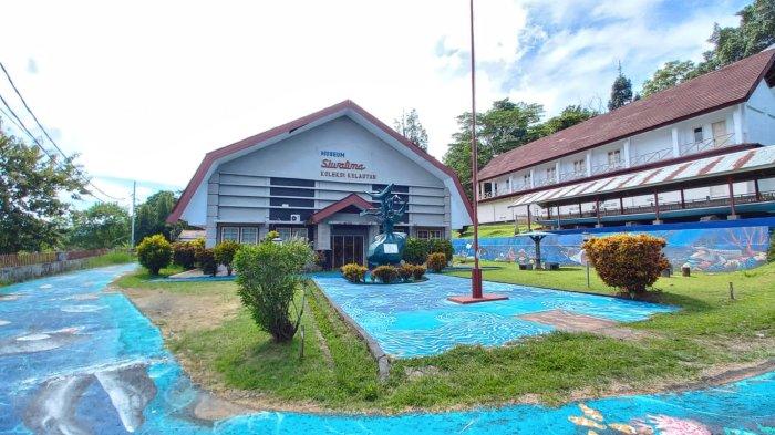 Mural biota laut hiasi jalanan dan dinding sekeliling koleksi Kelautan Museum Siwalima Ambon. Bisa dijadikan spot foto menarik.