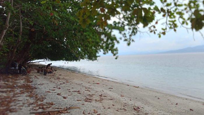 Pesona keindahan Pantai Akipai Dusun Wainuru, Desa Liang, Kecamatan Salahutu, Kabupaten Maluku Tengah, minggu (13/3/2022).