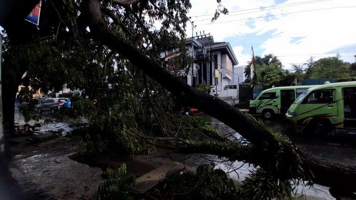 Pohon tumbang akibat angin kencang dan hujan deras di Jalan Tulukabessy, Rijali, Sirimau, Kota Ambon, Senin (8/2/2021).
