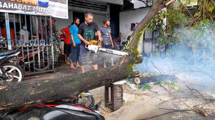 Pohon tumbang akibat angin kencang dan hujan deras di Jalan Tulukabessy, Rijali, Sirimau, Kota Ambon mulai dibersihka, Senin (8/2/2021).