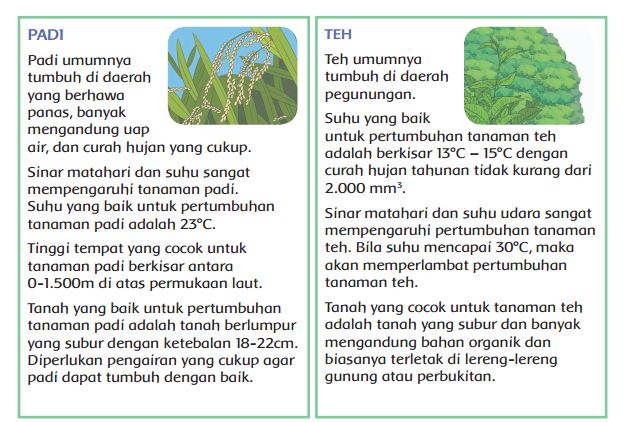Tema 3 Kelas 4 Pembelajaran 5