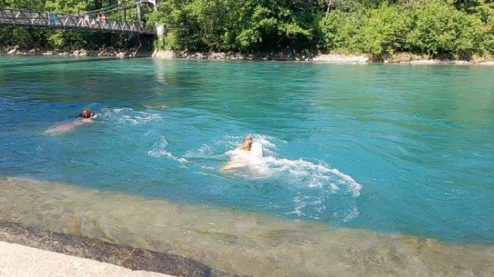 Dua orang Swiss berenang di Schoenausteg, lokasi yang menurut polisi Bern, Swiss menjadi tempat anak Ridwan Kamil, Emmeril Kahn Mumtadz atau Erill (23) mulai berenang di Sungai Aare, Selasa (31/5/2022) siang waktu setempat. Mereka berenang menggunakan dengan pelampung yang sekaligus menjadi tempat baju ganti.