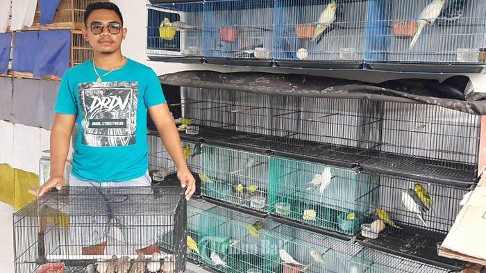 Sarjana Hukum Pilih Jualan Burung Ketimbang Kerja Kantoran, Gungde Raup Omzet Hingga Rp 10 Juta - Tribun-bali.com