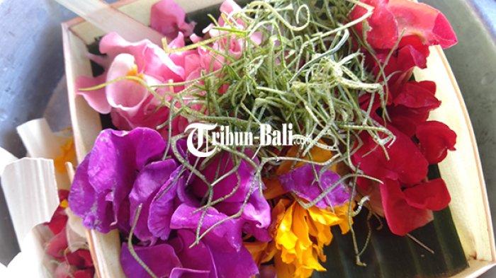 Berikut ini daftar hari suci dan piodalan umat Hindu di Bali, selama bulan Desember 2022.
Jangan lupa menghaturkan canang sari, upakara dan upacara serta melakukan puja bakti dengan alat persembahyangan.
Yuk simak ulasannya.