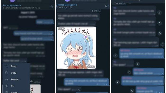 Ilustrasi tampilan Multiple Pinned Message.