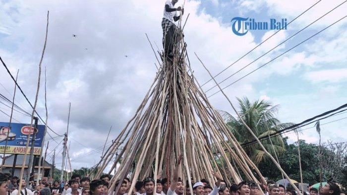 Tradisi Mekotek di Desa Adat Munggu pada, Sabtu 18 Juni 2022.