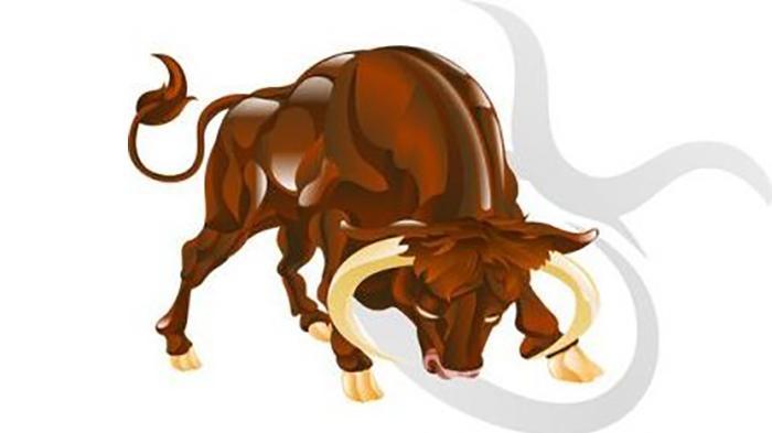Taurus