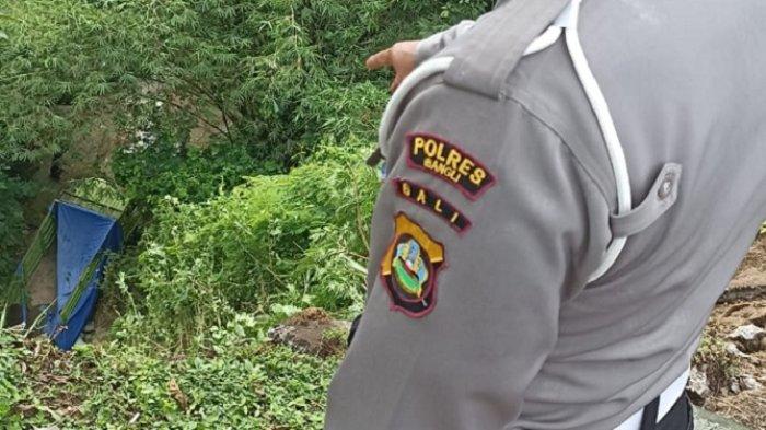 Sebuah truk dilaporkan jatuh ke dalam jurang, sedalam 50 meter, pada Minggu (1/1/2023).
Kendaraan truk pengangkut pakan ternak itu, jatuh saat ditinggal sang sopir membeli bensin.
Kapolsek Tembuku, AKP I Putu Gede Ardana, mengungkapkan, peristiwa kecelakaan itu terjadi sekitar pukul 08.30 WITA.