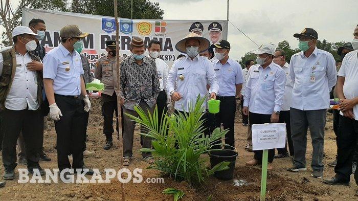 Bupati Bangka Tengah bersama Gubernur Bangka Belitung saat melakukan penanaman perdana kelapa Sawit di Desa Puput, Bangka Tengah Rabu, (10/3/2021).