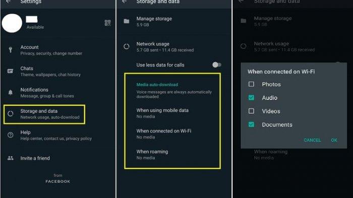 Pengaturan Unduh Otomatis Whatsapp
