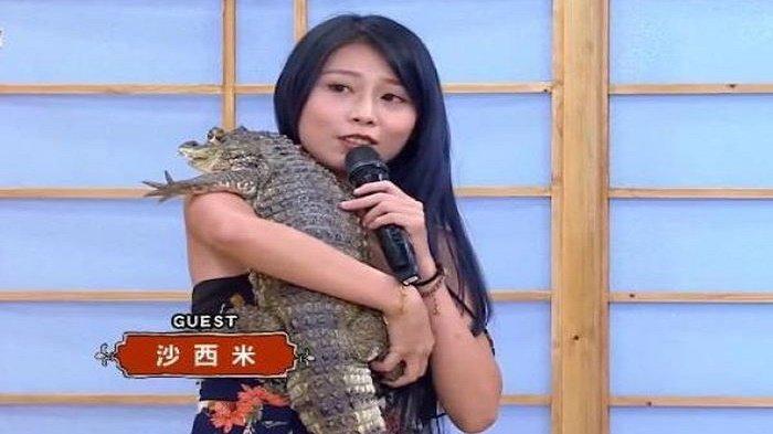 Shasimi artis Taiwan yang gemar memelihara buaya