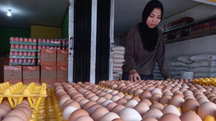 Pedagang telur ayam di pasar pagi Kota Pangkalpinang