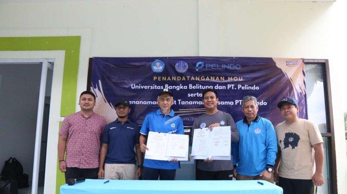 Penandatangan Memorandum of Understanding (MoU) dan Perjanjian Kerjasama (PKS) PT Pelindo Regional 2 Pangkal Balam serta penyerahan bibit tanaman dengan Universitas Bangka Belitung bertempat di Halaman Gedung Medical Care UBB, Jumat (7/10/2022). (