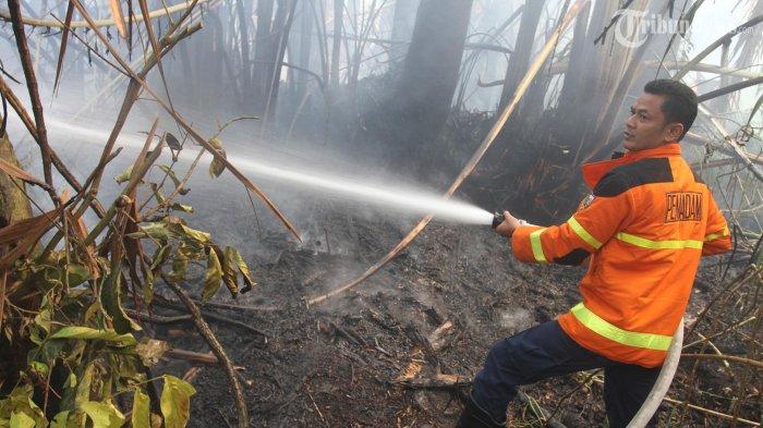 Petugas pemadam kebakaran berusaha memadamkan api yang membakar lahan di kawasan Kelurahan Tangkerang Tengah, Kec Marpoyan Damai, Pekanbaru, Riau, Minggu (16/2/2014). Kebakaran hutan dan lahan akhir-akhir ini marak terjadi di Kota Pekanbaru akibat aktivitas pembukaan lahan dan cuaca panas sehingga mengakibatkan tebalnya kabut asap. (TRIBUN PEKANBARU/THEO RIZKY)
