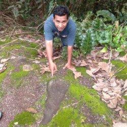 Destinasi Wisata Batu Belimbing dan jejak telapak kaki Akek Antak di Desa Puput Kecamatan Simpang Katis, Kabupaten Bangka Tengah.
