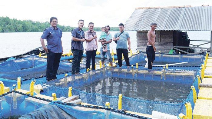 Budidaya Ikan Nila, Ikan Lele, Ikan Kerapu, Kepiting Soka, hingga Cabai Progres Ekonomi Masa Depan