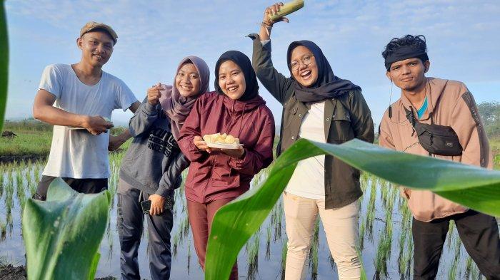 Para jurnalis Bangkapos.com saat berfoto di lahan padi di di kawasan Balunijuk, Merawang, Bangka yang diolah David