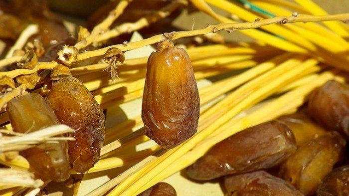 Ilustrasi buah kurma