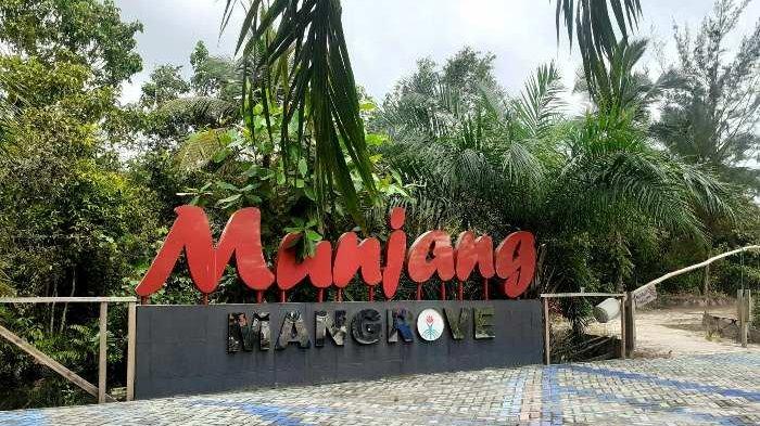 Munjang Mangrove yang berlokasi di Desa Kurau, Kecamatan Namang, Kabupaten Bangka Tengah