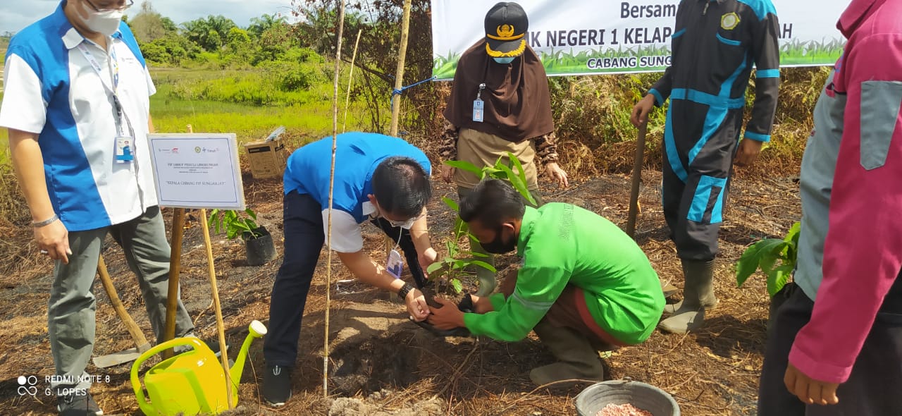 Proses Penanaman pohon Buah Langka oleh BPK Herwansyah Cik Mud bersama Ibu Ir Zaryati Selaku kepala SMK N1 Kelapa