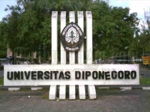 Link Pengumuman Ujian Jalur Mandiri (UM) Universitas Diponegoro (UNDIP), Klik di Sini