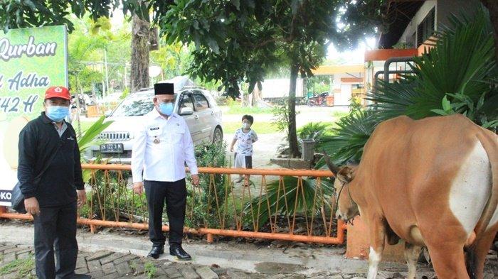 Bupati H Abdul Wahid HK, saat melihat sapi untuk hewan kurban di kantornya, Kota Amuntai, Kabupaten Hulu Sungai Utara (HSU), Provinsi Kalimantan Selatan, Rabu (21/7/2021).