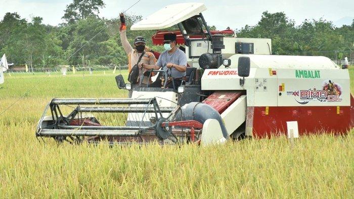 Gubernur Kalimantan Selatan, H Sahbirin Noor, mengoperasikan combine harvester, memanen padi di lahan luas di Desa Binderang, Kecamatan Lokpaikat, Kabupaten Tapin, Kamis (11/2/2021).