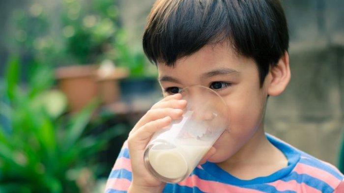 Ilustrasi anak minum susu