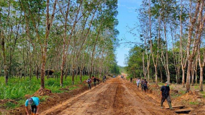 Jalan penghubung antar Desa Lok Batu menuju Desa Kembang Kuning akan ditingkatkan menjadi jalan kabupaten.