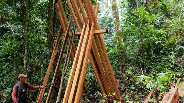 Kayu yang sudah diolah di hutan Meratus, dan siap diturunkan.