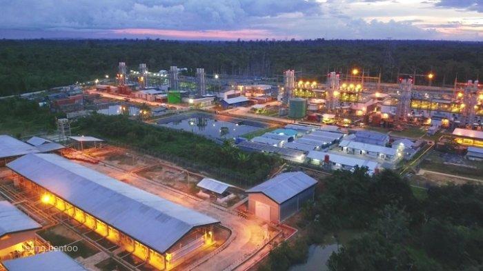 Landscape PLTMG Bangkanai
