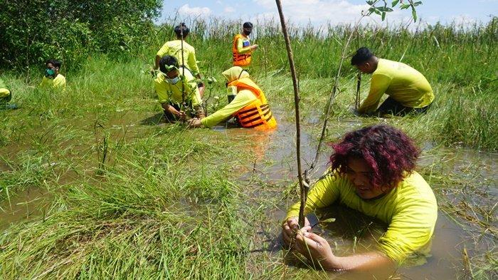 Mahasiswa dan dosen Prodi Biologi FMIPA ULM, bersama mitra, melakukan penanaman mangrove rambai di Pusat Riset Bekantan di Pulau Curiak, Kecamatan Anjir Muara, Kabupaten Barito Kuala (Batola), Provinsi Kalimantan Selatan, Minggu (25/7/2021).