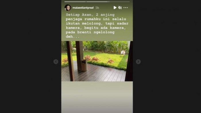 Maia Estianty ungkap keanehan anjing penjaganya.