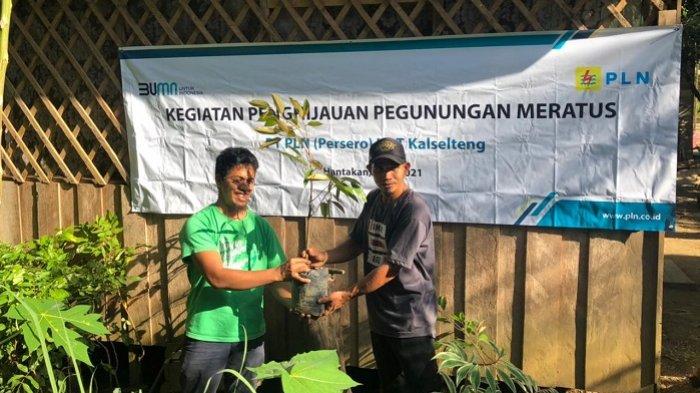 Memperingati Hari Lingkungan Hidup Sedunia, PT PLN (Persero) UPT Kalselteng melaksanakan penghijauan di Meratus, Sabtu (5/6/2021).