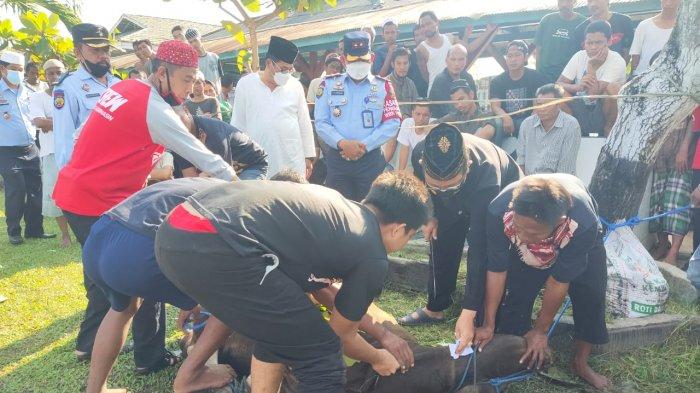 Prosesi potongan hewan kurban dalam rangkaian Hari Raya Idul Adha 1442 H di Lapas Kelas IIA Banjarmasin.
