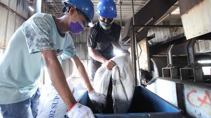 Pihak PTPN Group dan Perhutani bersinergi dalam pelaksanaan co-firing di 52 lokasi Pembangkit Listrik Tenaga Uap (PLTU) batu bara.