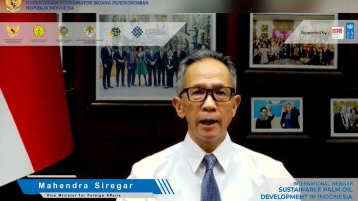 Salah satu narasumber International Webinar: Sustainable Palm Oil Development in Indonesia, di Jakarta, Rabu (7/4).