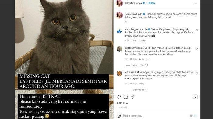 Salmafina Sunan unggah sayembara kucingnya hilang
