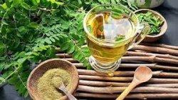 Teh daun kelor